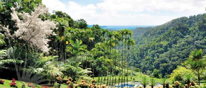 Jardin de Balata