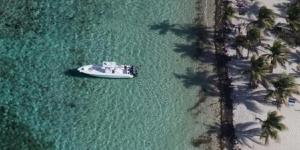 Sorties en bateaux Ocean Best Adventure